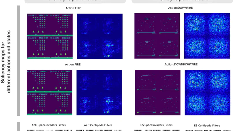 Understanding features on evolutionary policy optimizations: feature learning difference between gradient-based and evolutionary policy optimizations